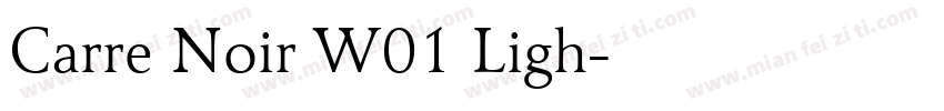 Carre Noir W01 Ligh字体转换